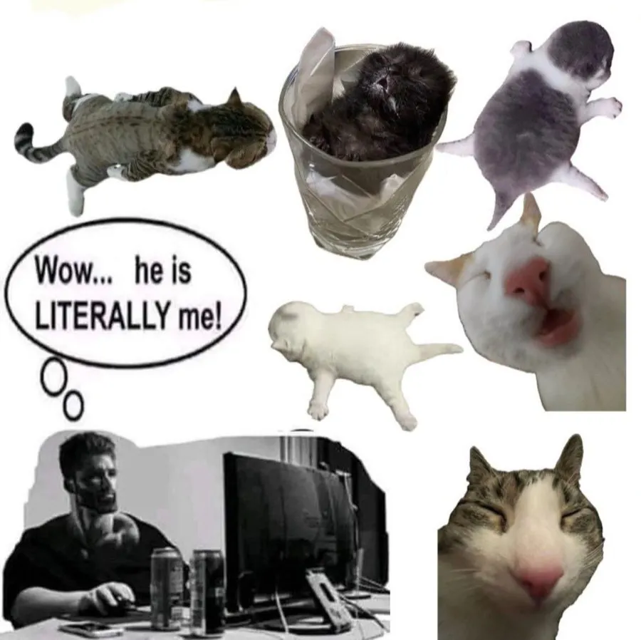 Untitled meme