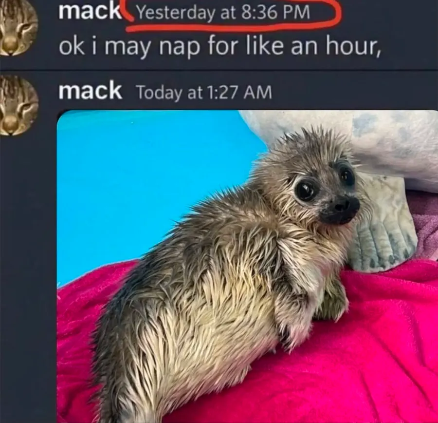 Untitled meme