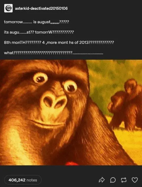 Untitled meme
