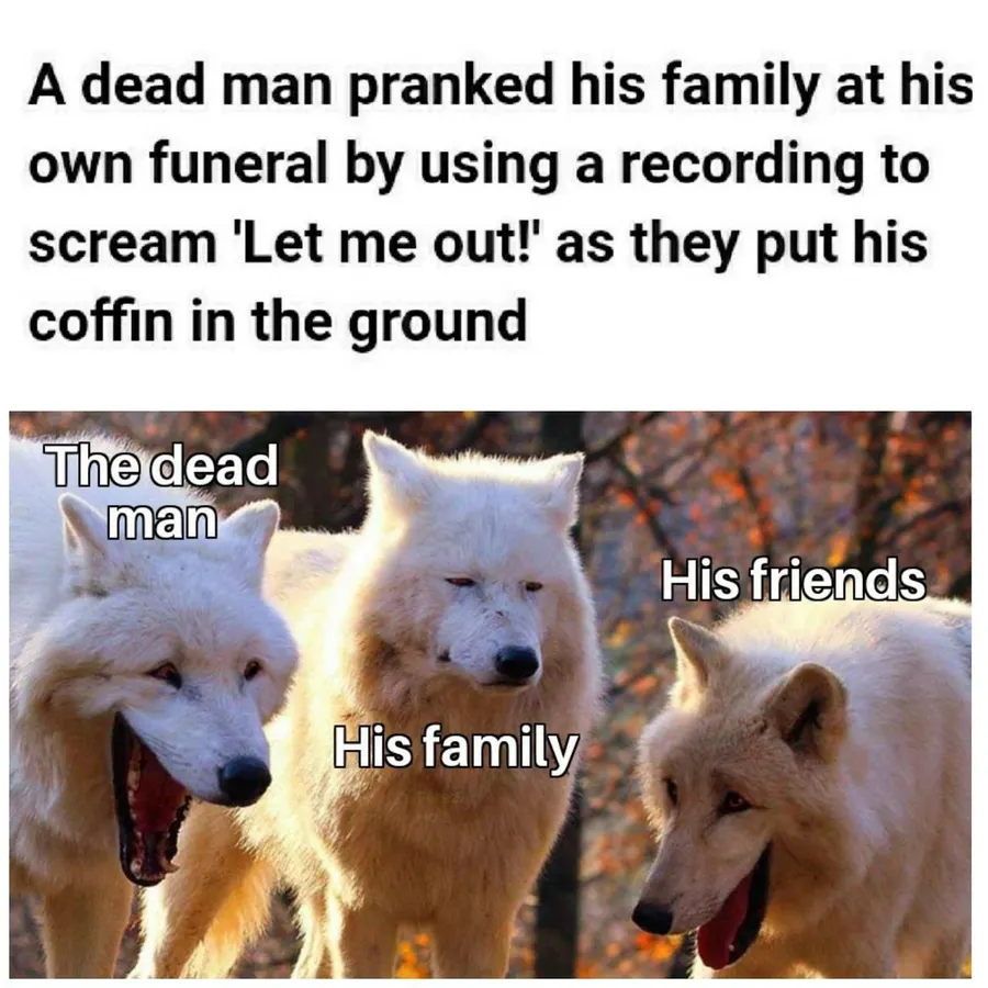 Untitled meme