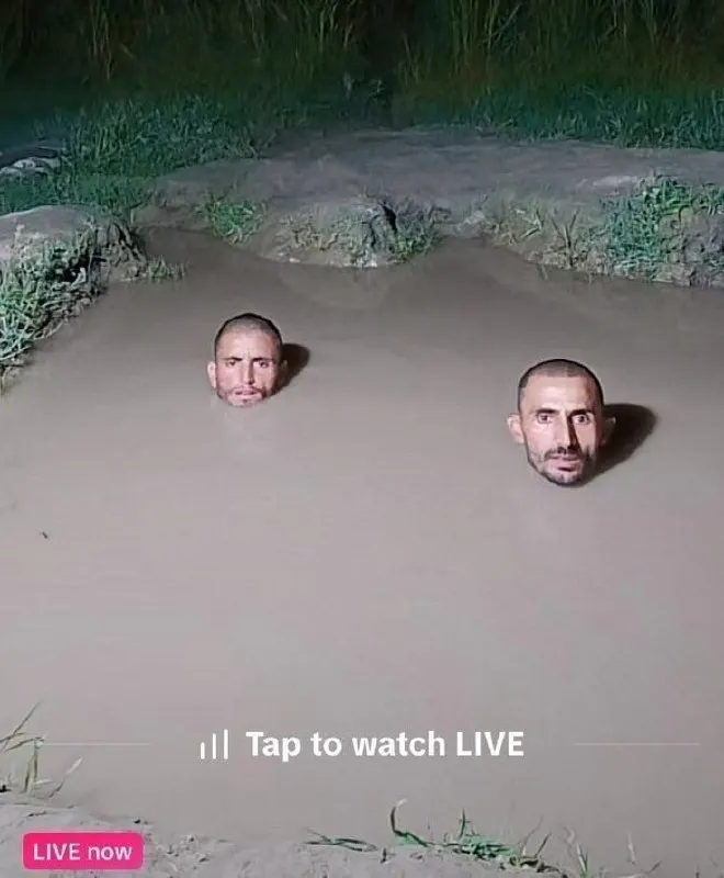 Untitled meme