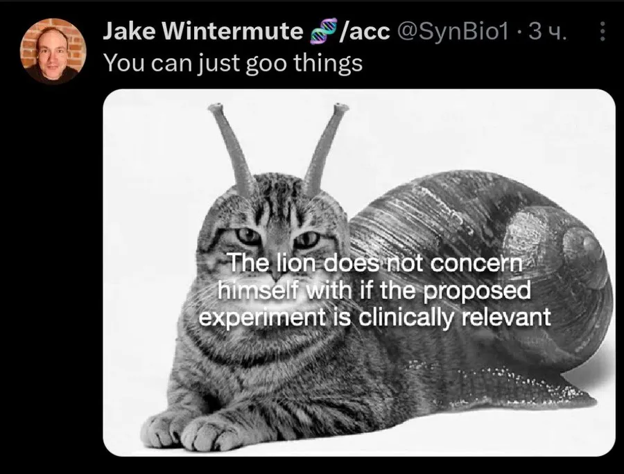 Untitled meme