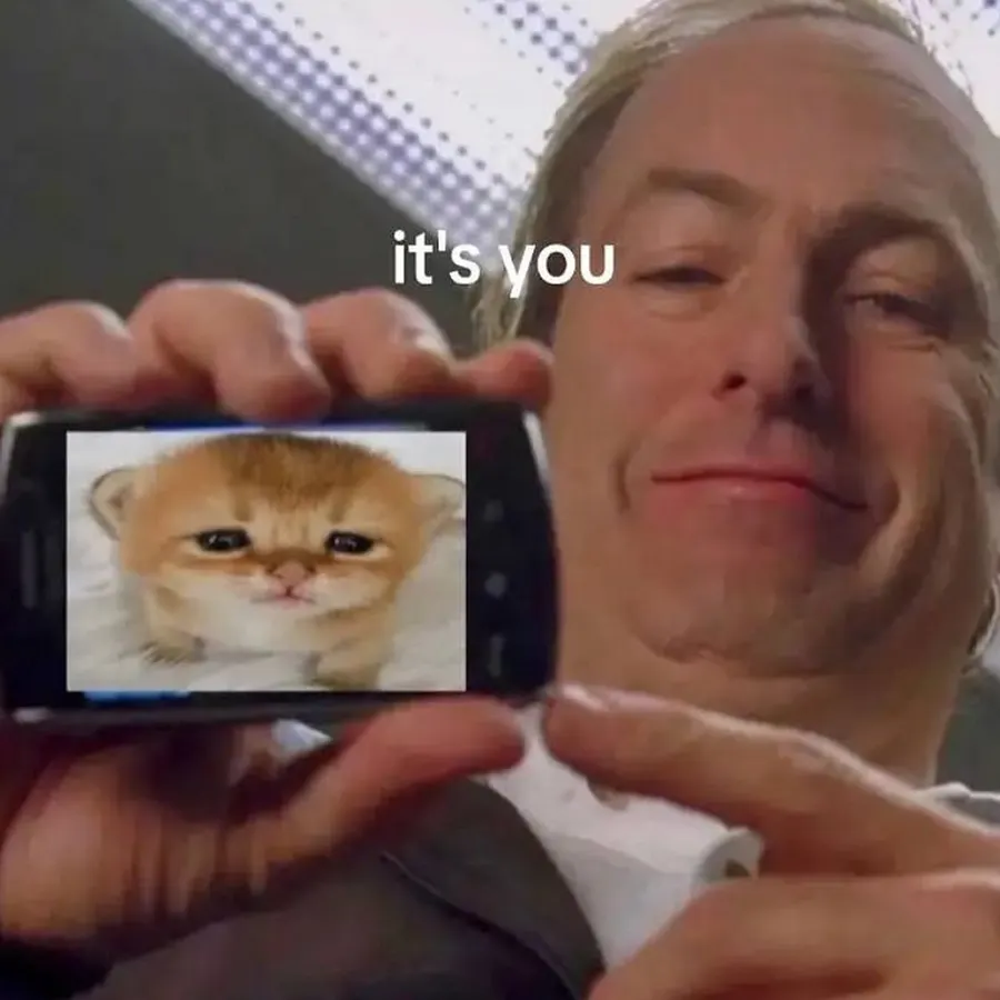Untitled meme