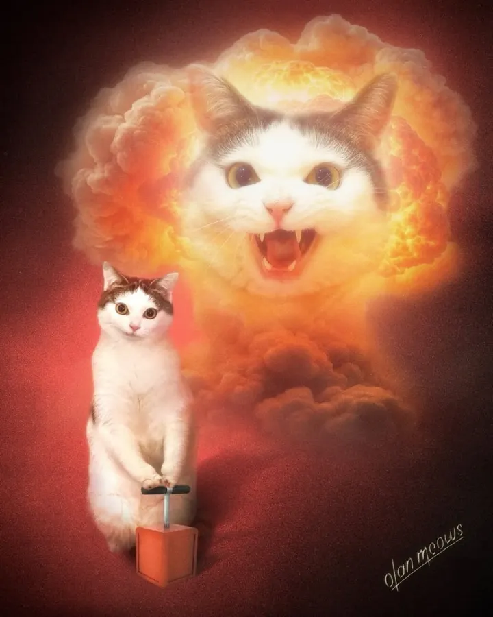 Untitled meme