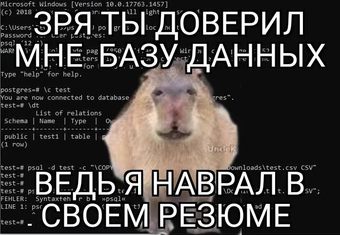 Untitled meme