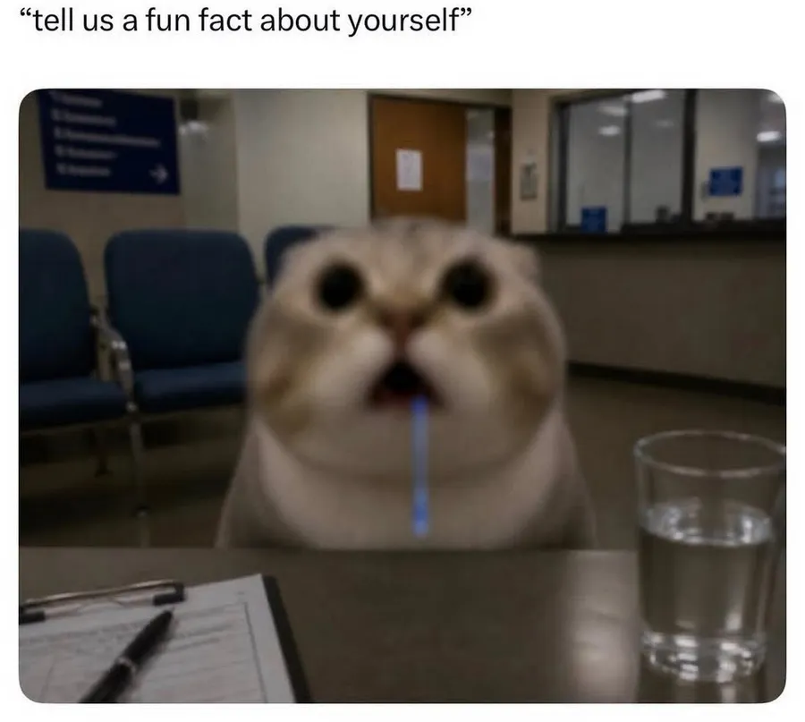 Untitled meme