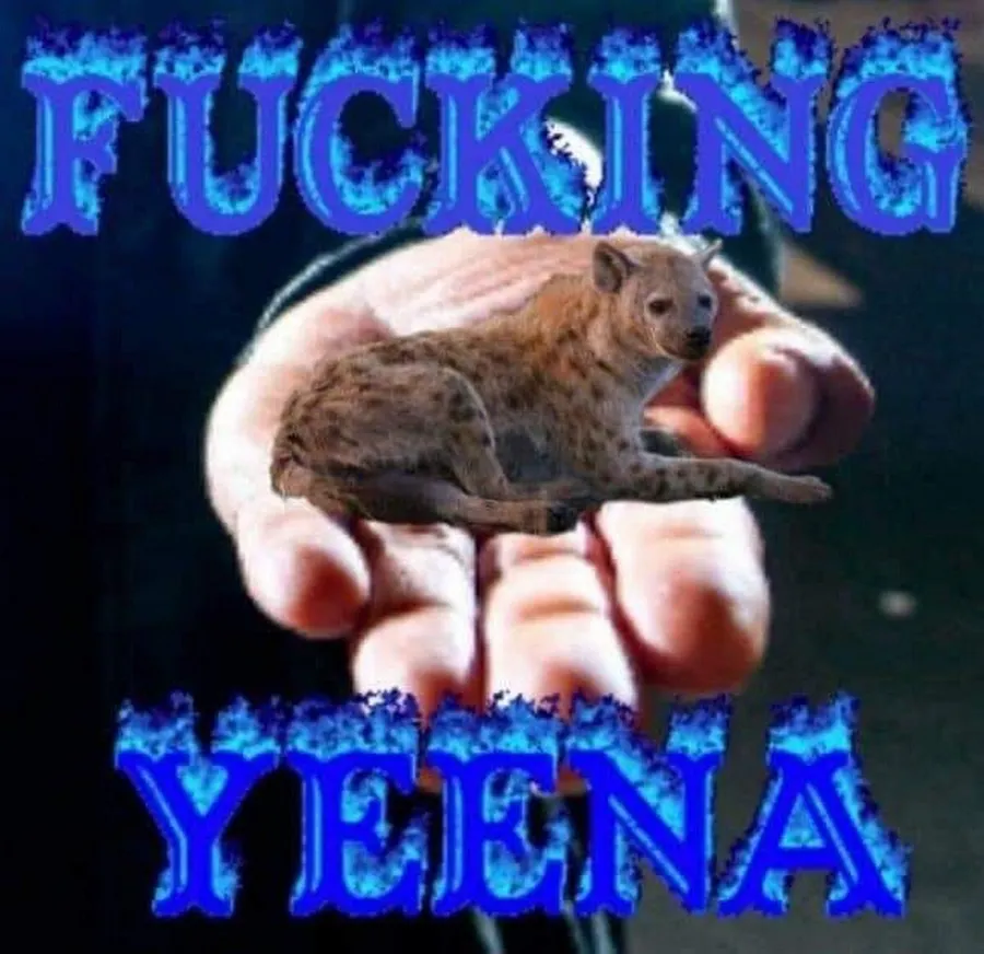 Untitled meme