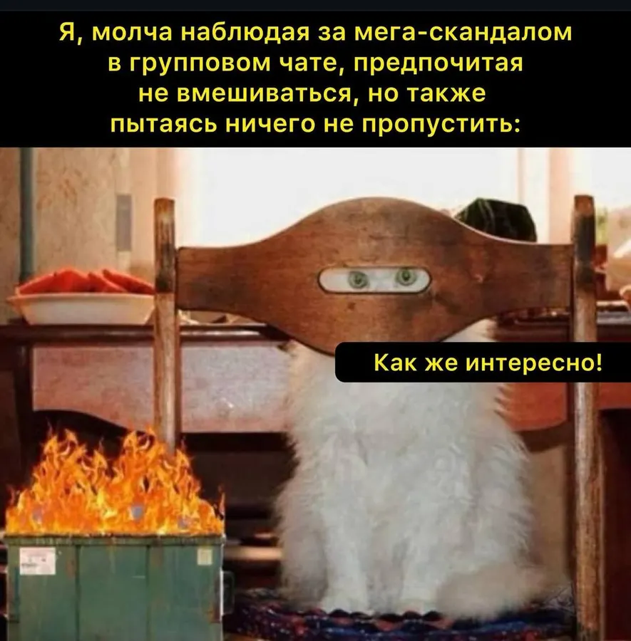 Untitled meme