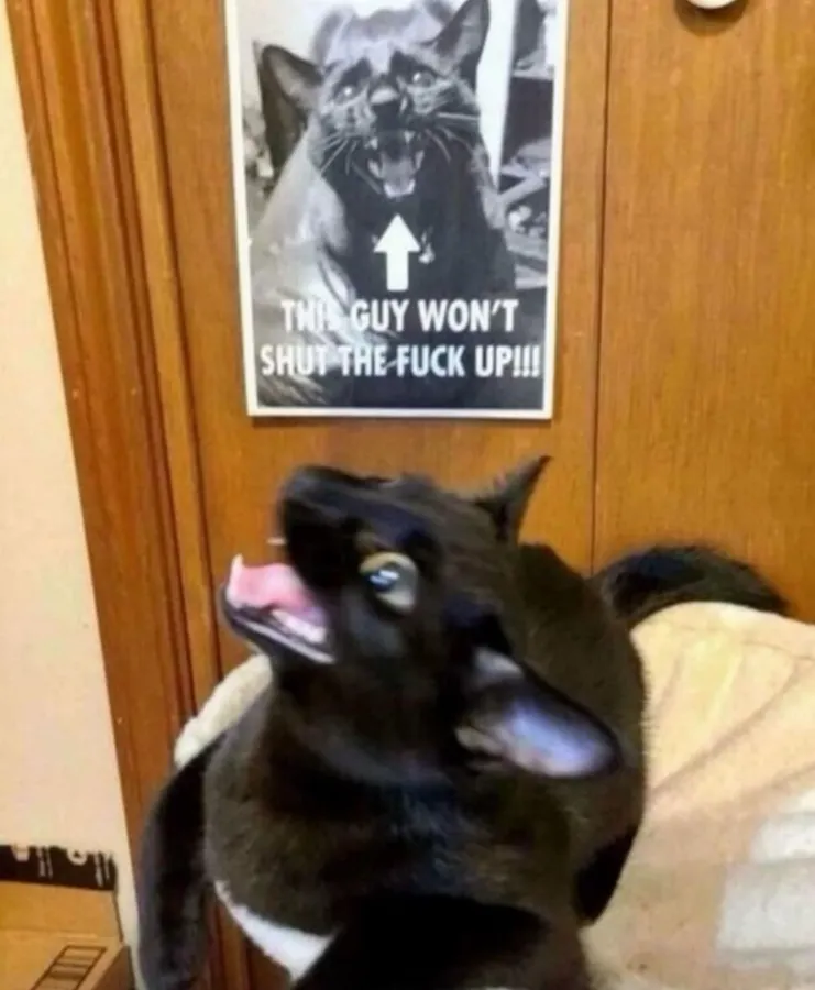 Untitled meme