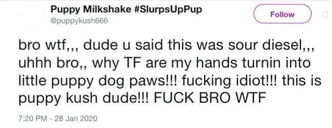 Untitled meme