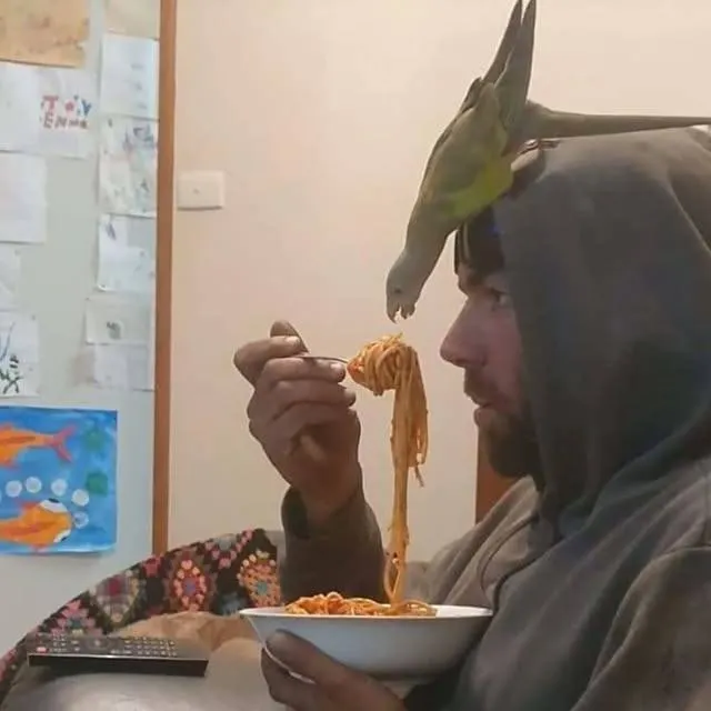 Untitled meme