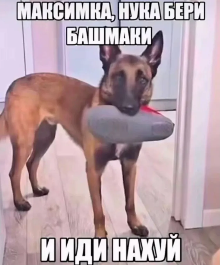 Untitled meme