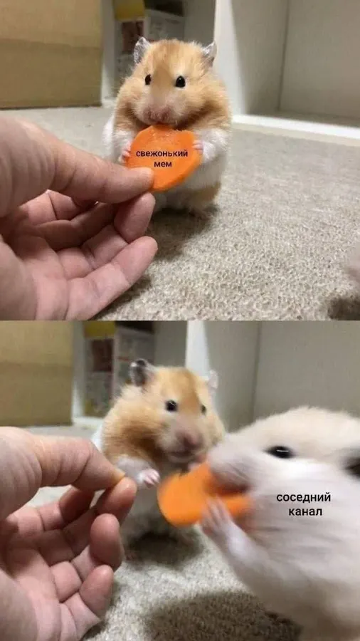 Untitled meme