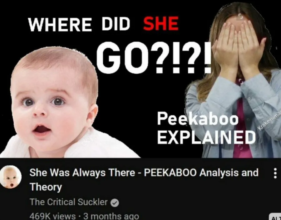 Untitled meme