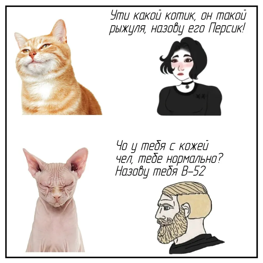 Untitled meme