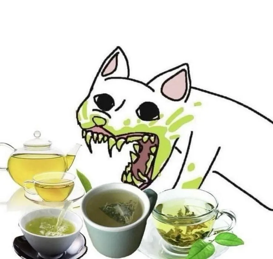 Untitled meme