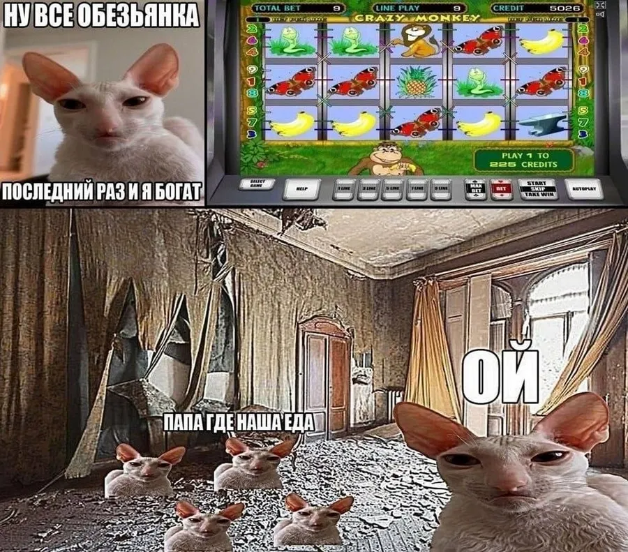 Untitled meme