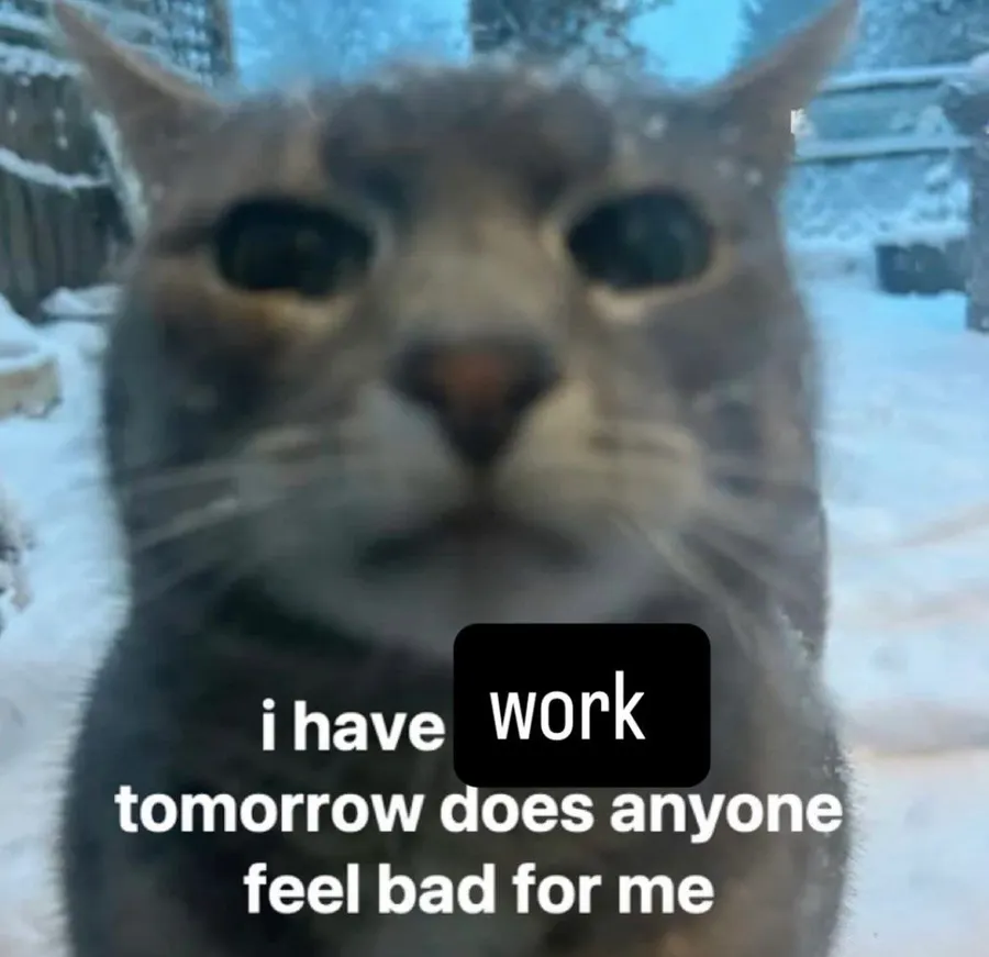 Untitled meme