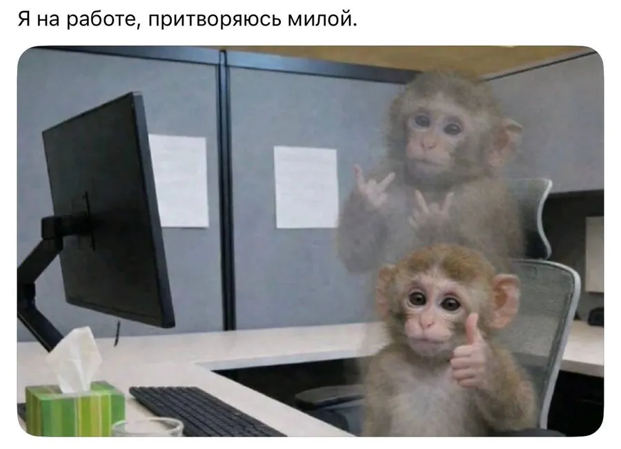 Untitled meme
