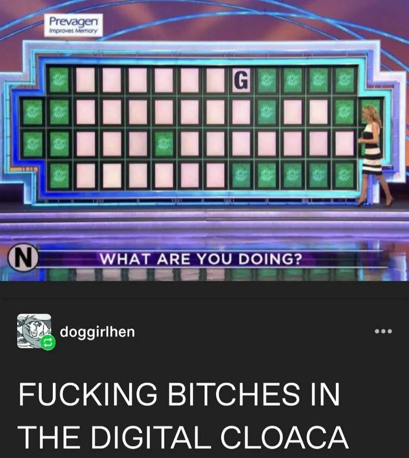 Untitled meme