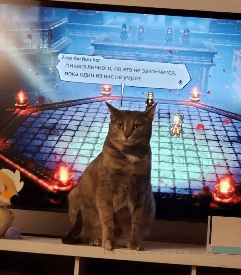 Untitled meme