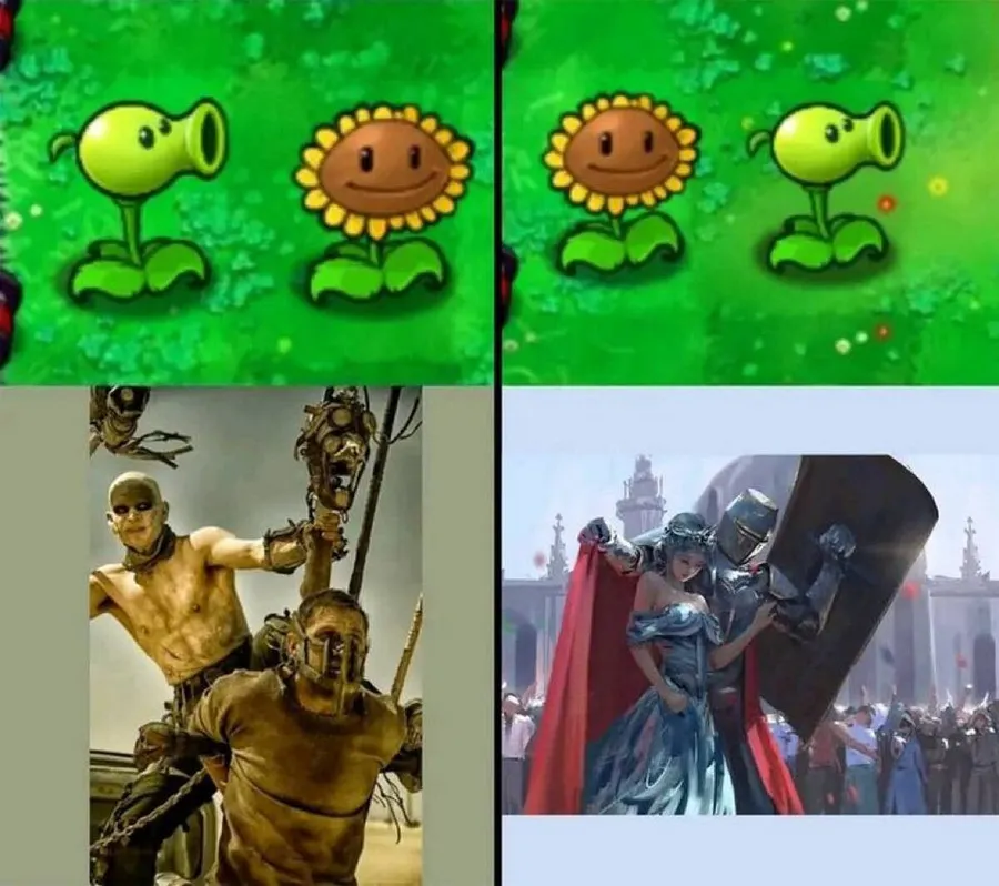Untitled meme