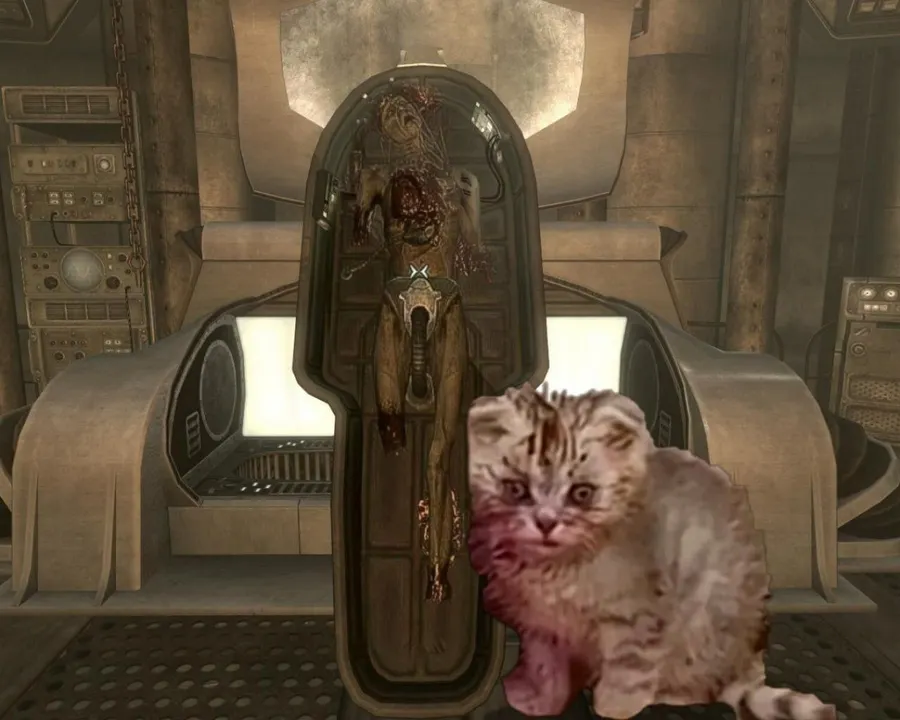 Untitled meme