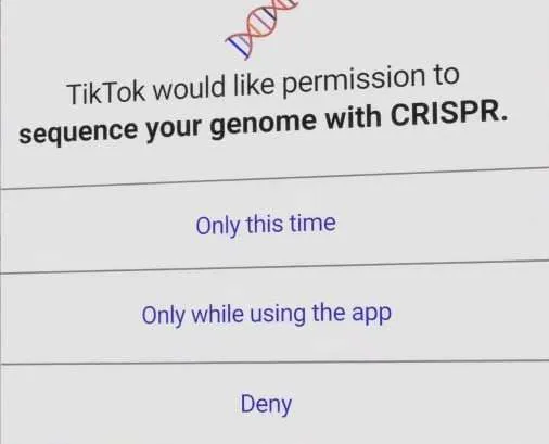 Untitled meme