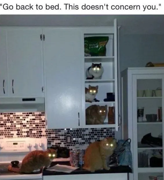 Untitled meme