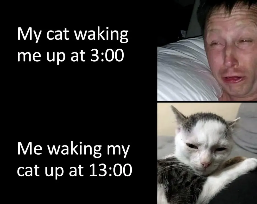 Untitled meme