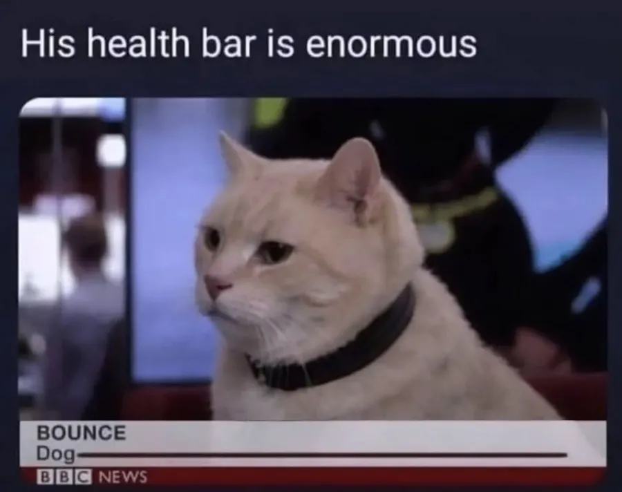 Untitled meme