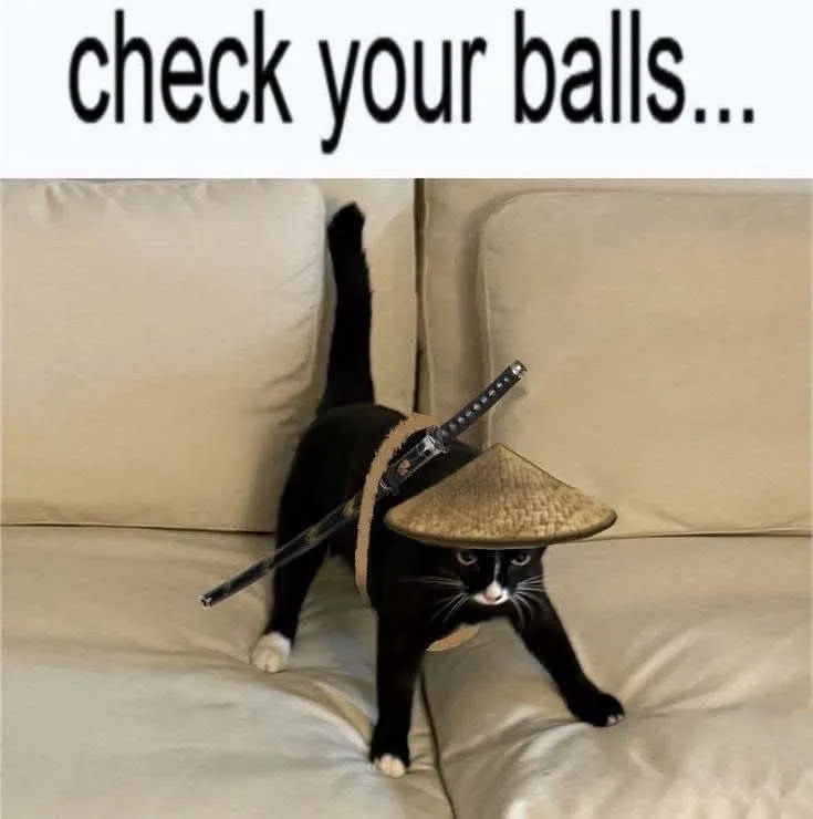 Untitled meme