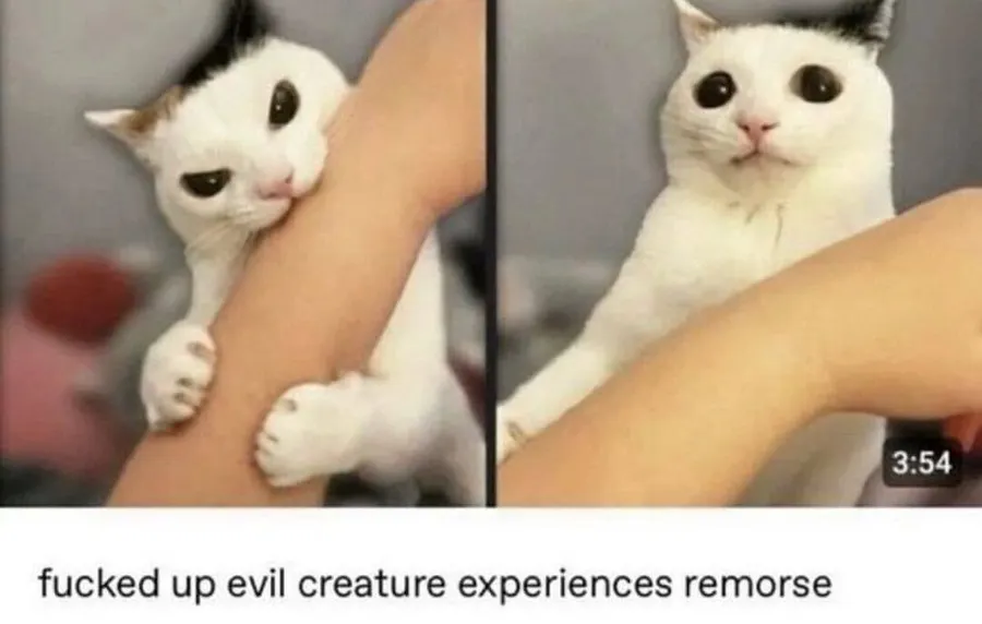 Untitled meme