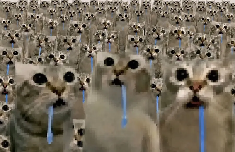 Untitled meme
