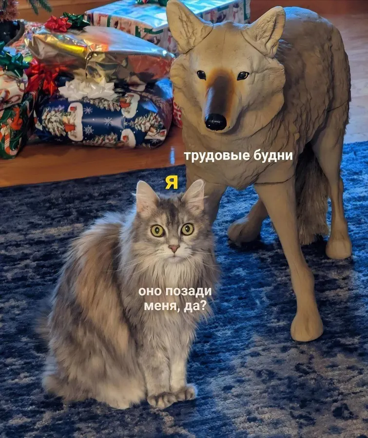 Untitled meme