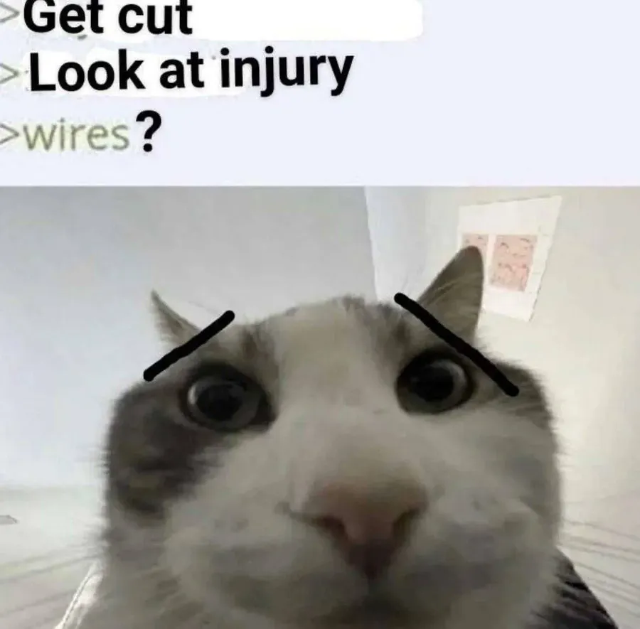 Untitled meme
