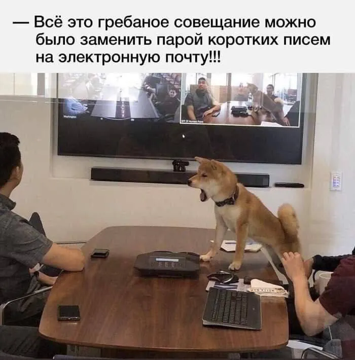 Untitled meme