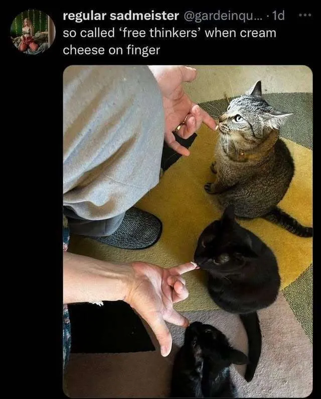 Untitled meme