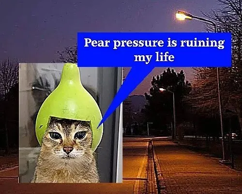 Untitled meme