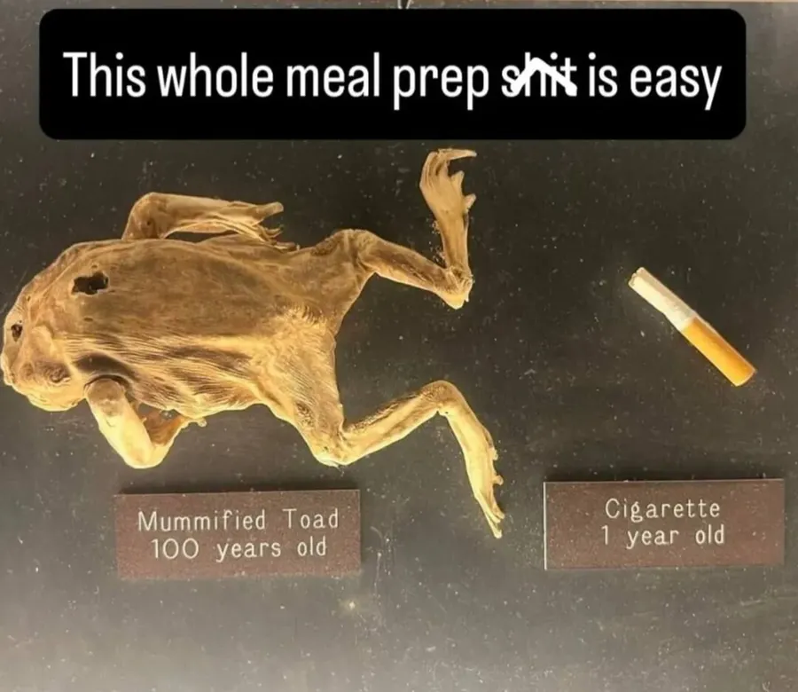 Untitled meme