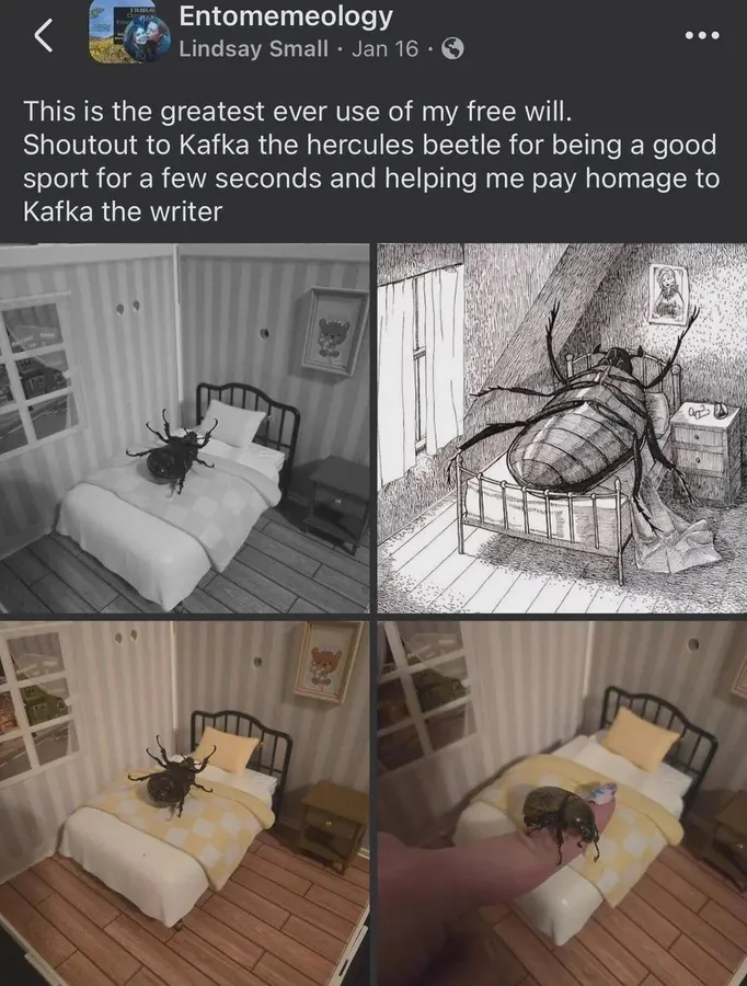 Untitled meme