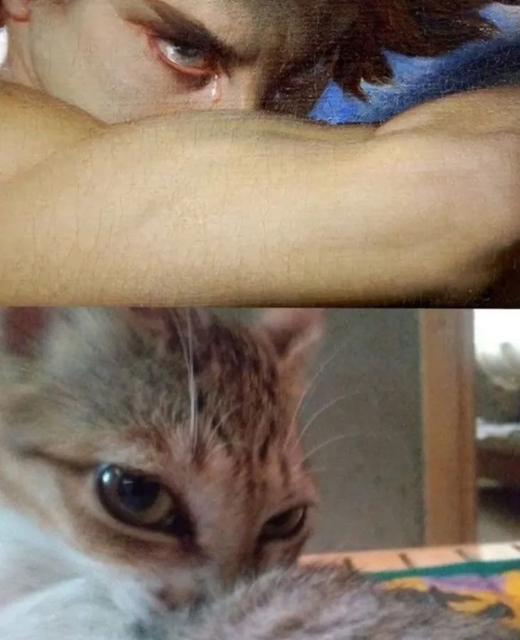 Untitled meme