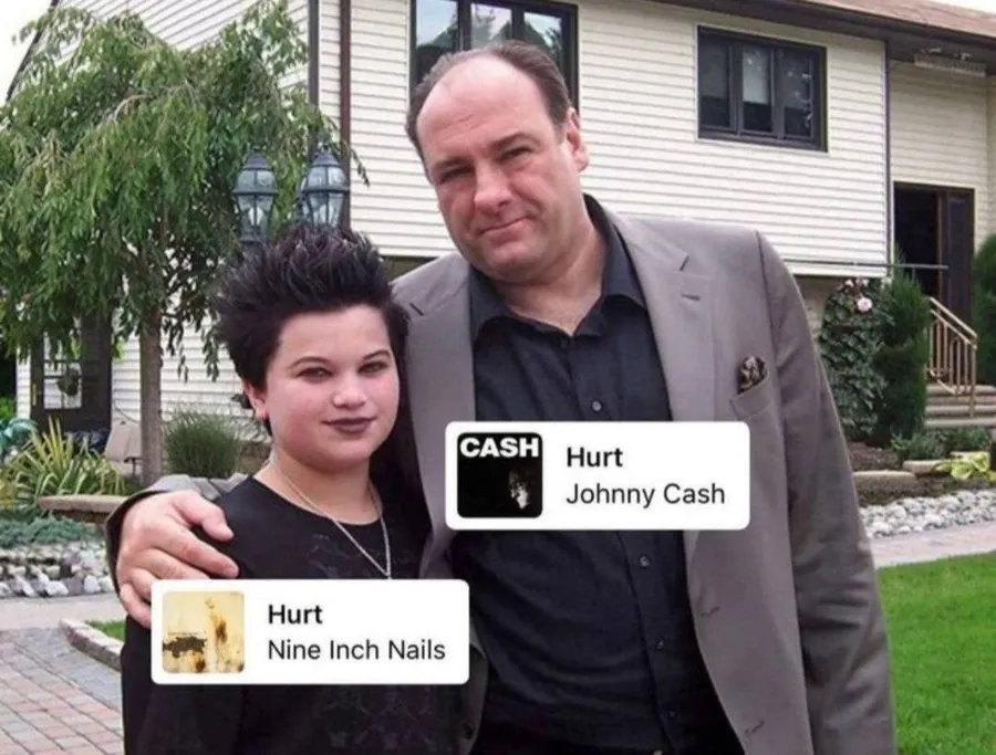 Untitled meme