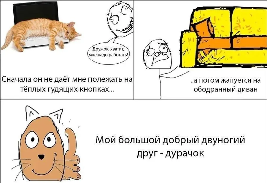 Untitled meme