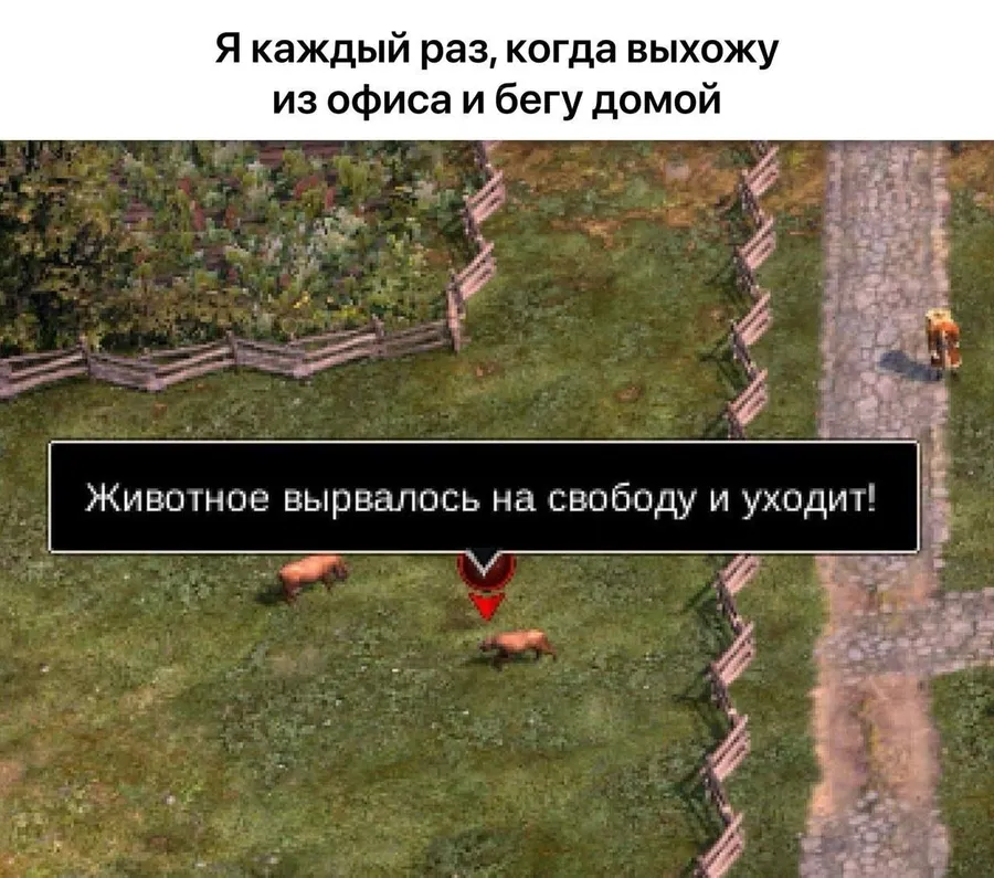 Untitled meme
