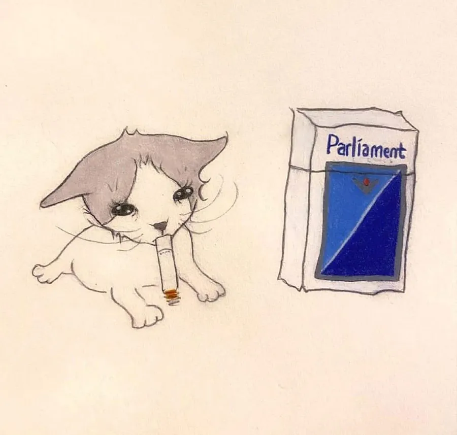 Untitled meme
