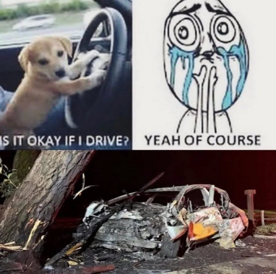 Untitled meme