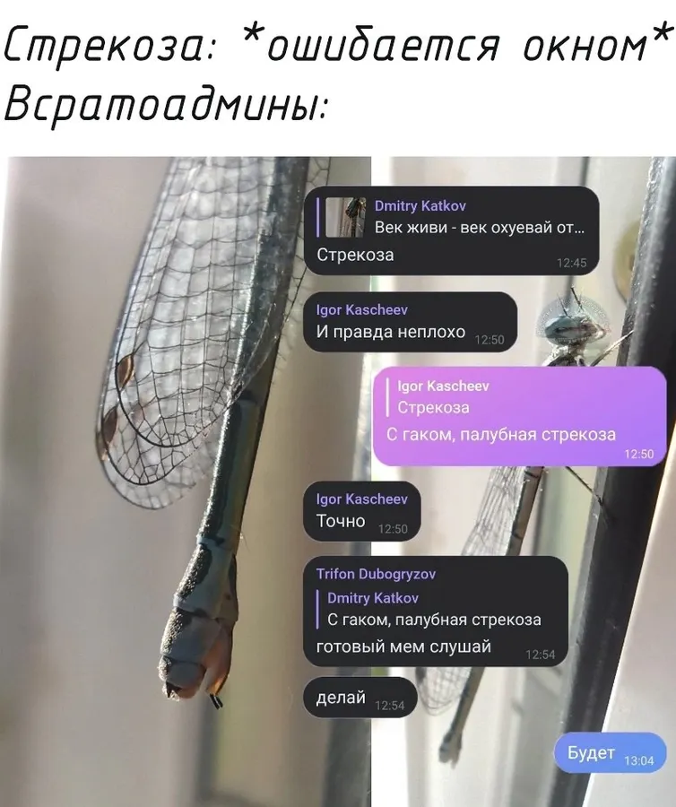 Untitled meme