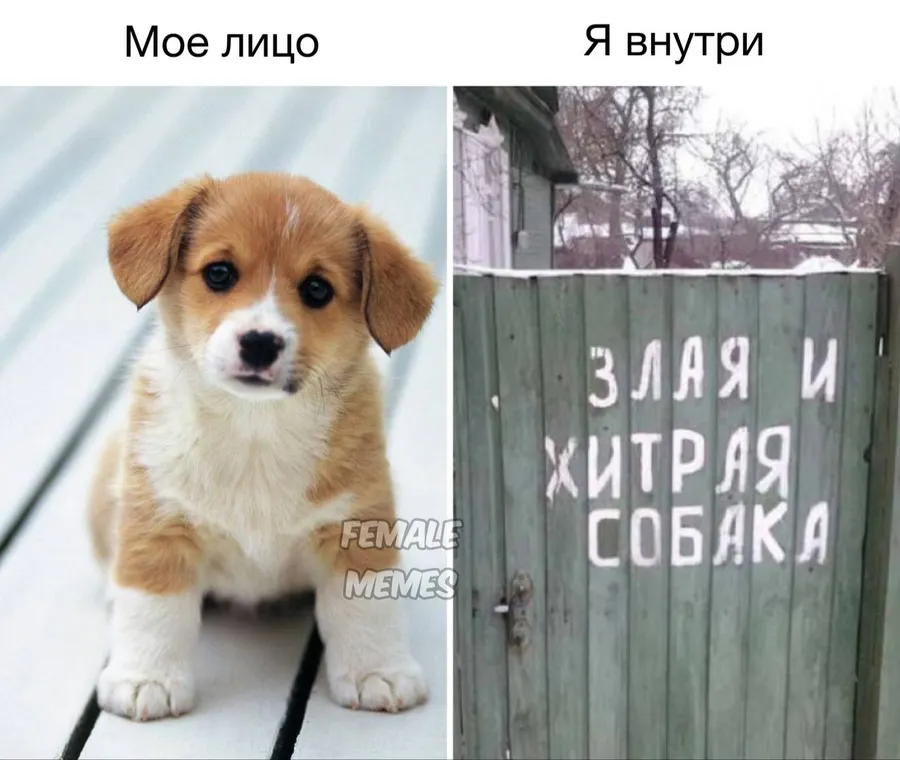 Untitled meme