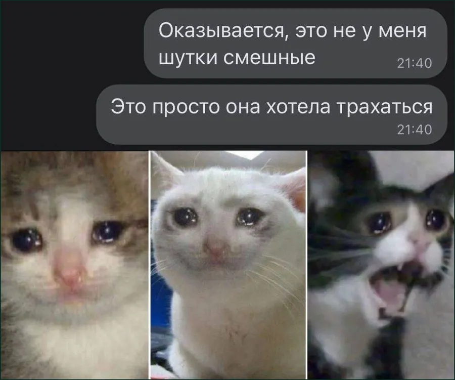Untitled meme